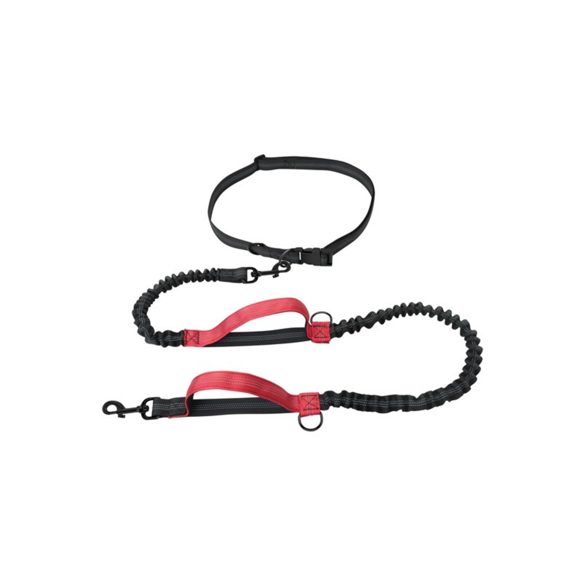 Adjustable Hands Free Dog Running Leash 6