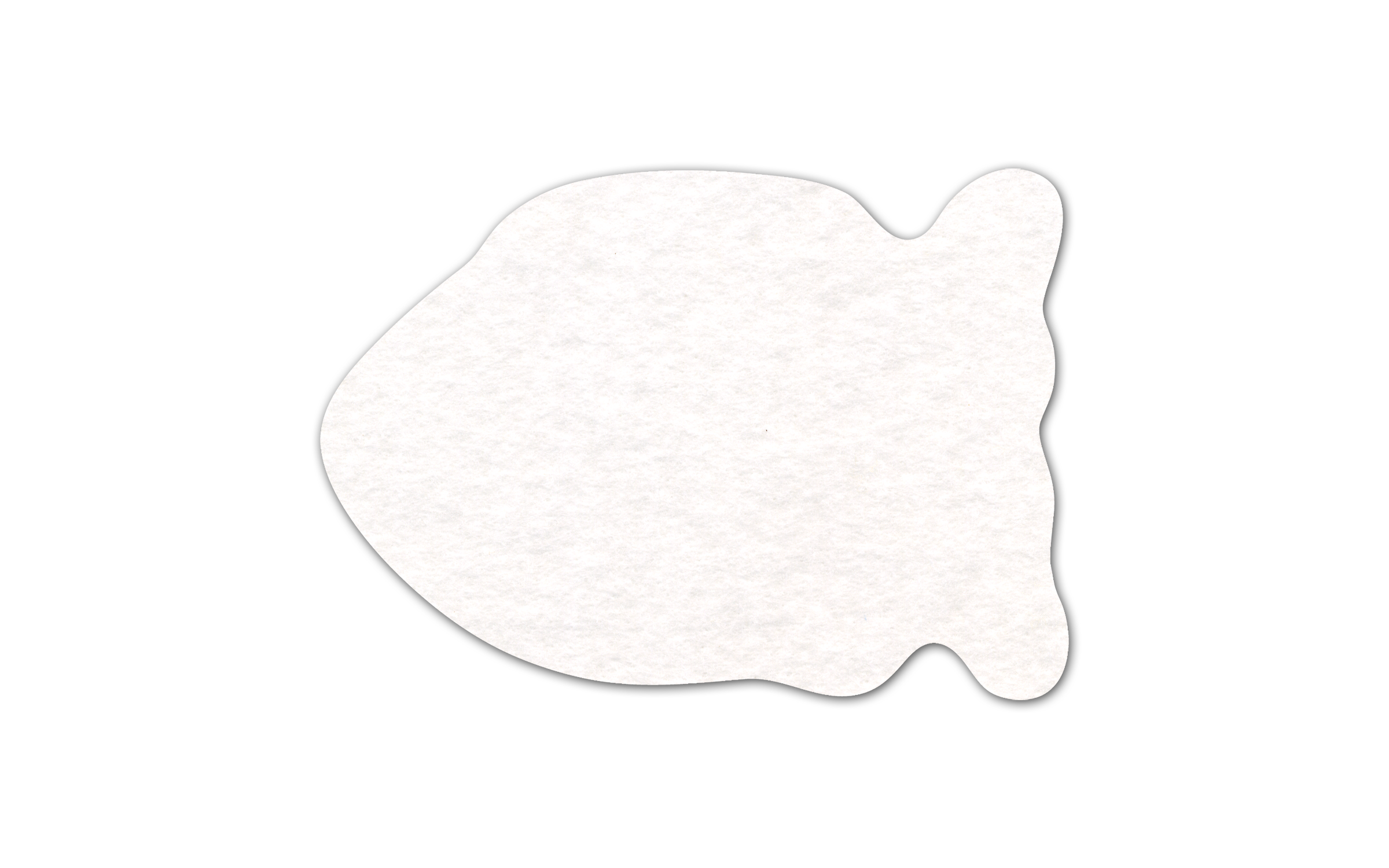Fish Shammy Coaster 3