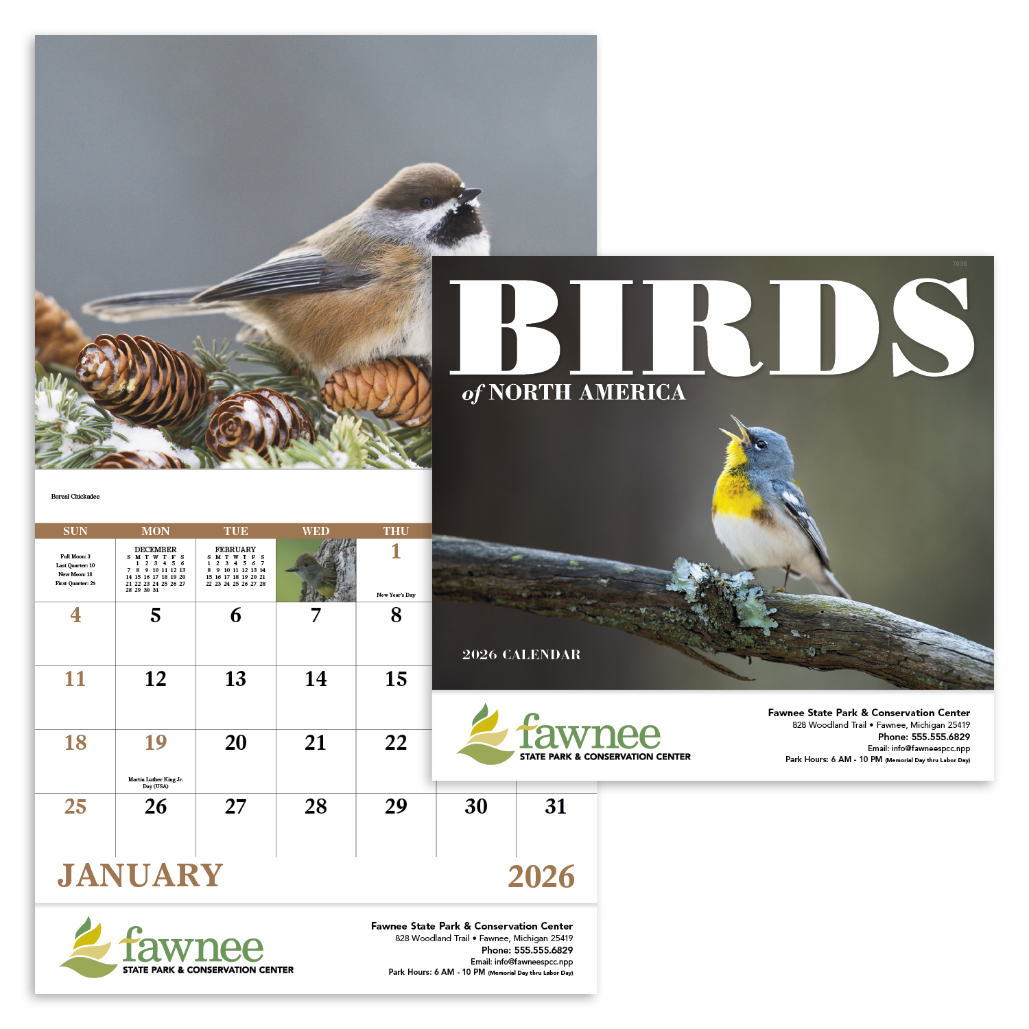 Good Value™ Birds of North America - Stapled Calendar 6