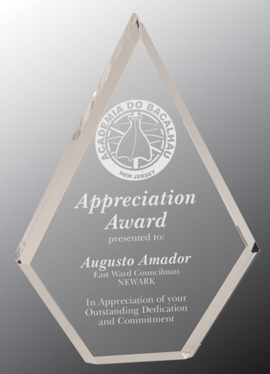 Regis Diamond Acrylic Award 3