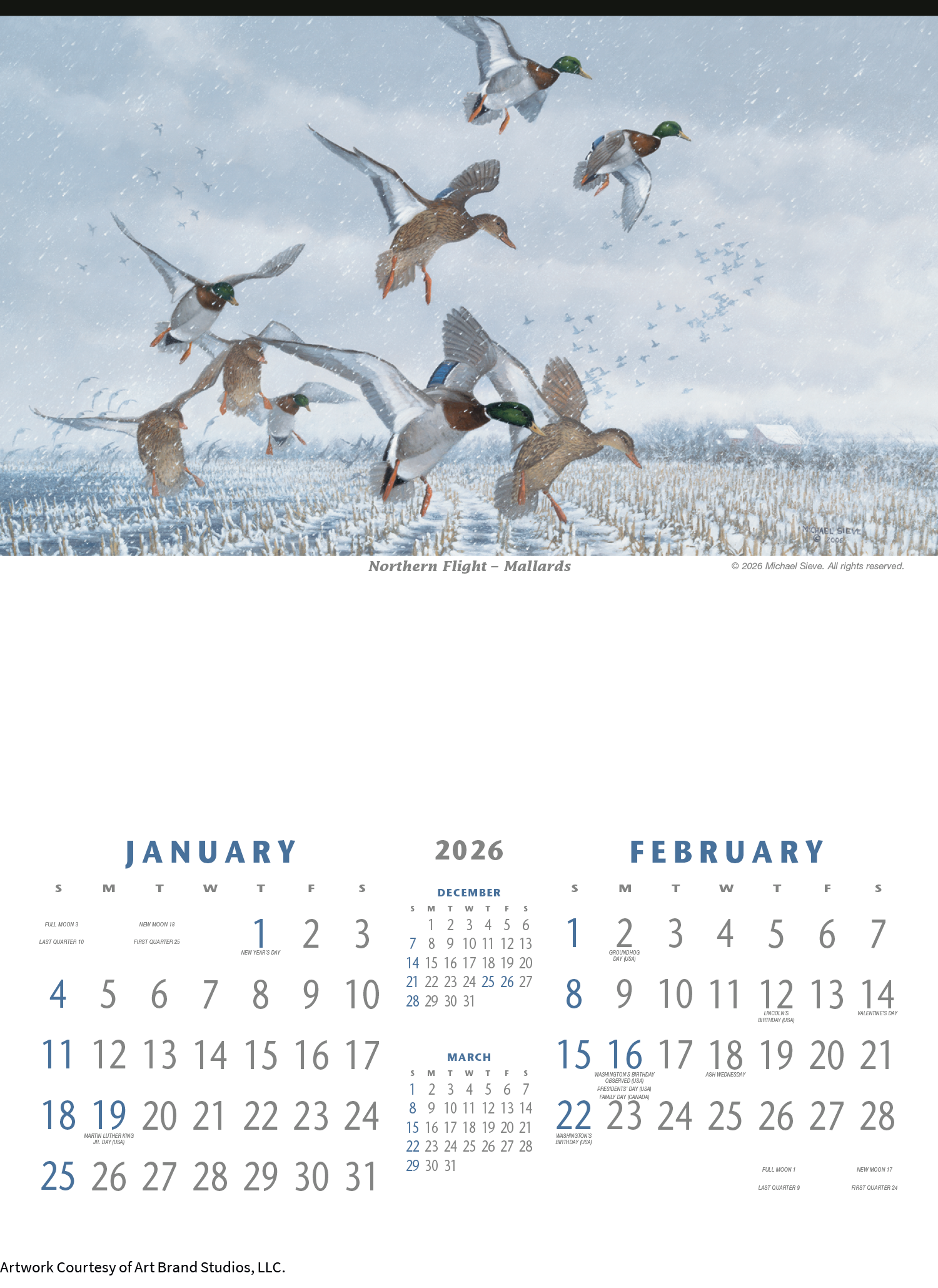 Triumph® Calendars North American Waterfowl Calendar 10