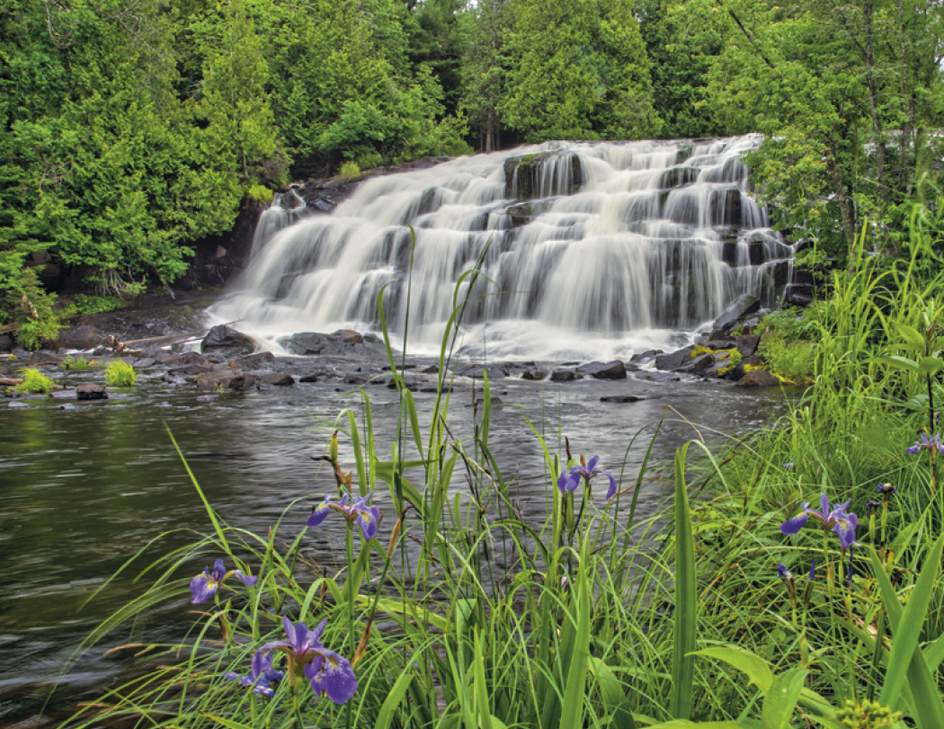 Triumph® Calendars Michigan Calendar 83