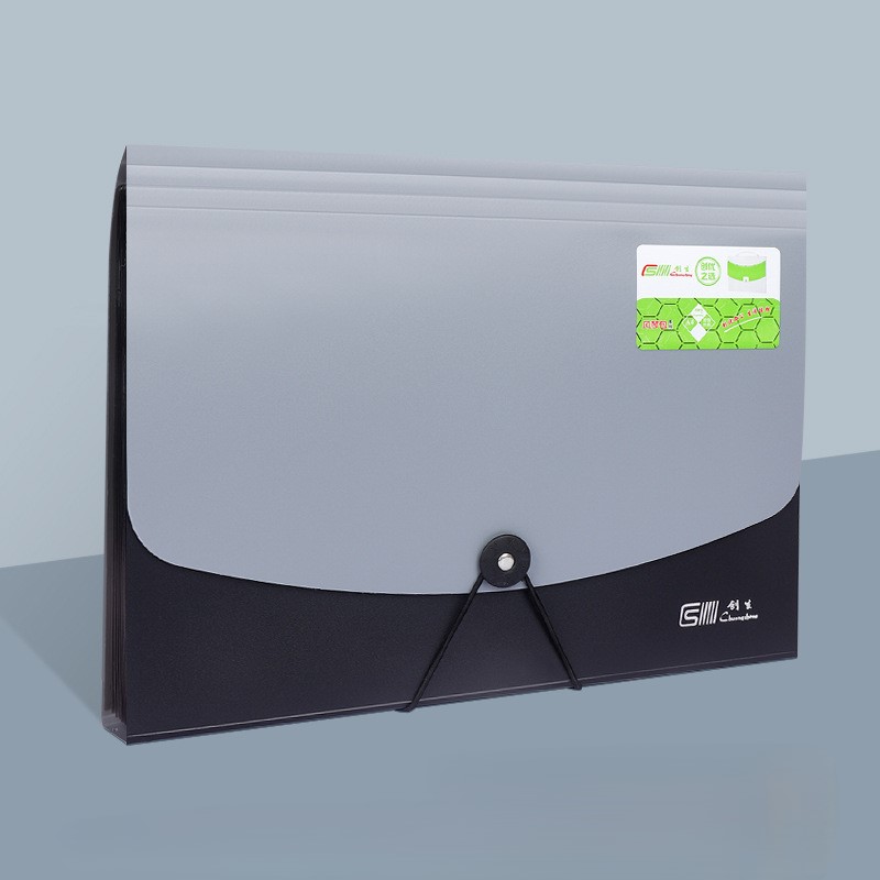 PP Plastic 13-Pocket A4 File Organizer 3