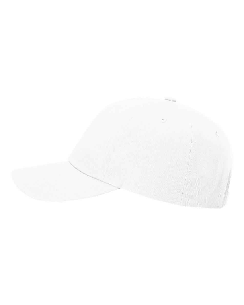 Sustainable Ashland Dad Hat - 254RE 11