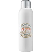 Guzzle 28oz Stainless Sports Bottle 10