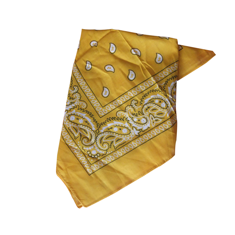 100 % Polyester Pet Triangle Belt 2