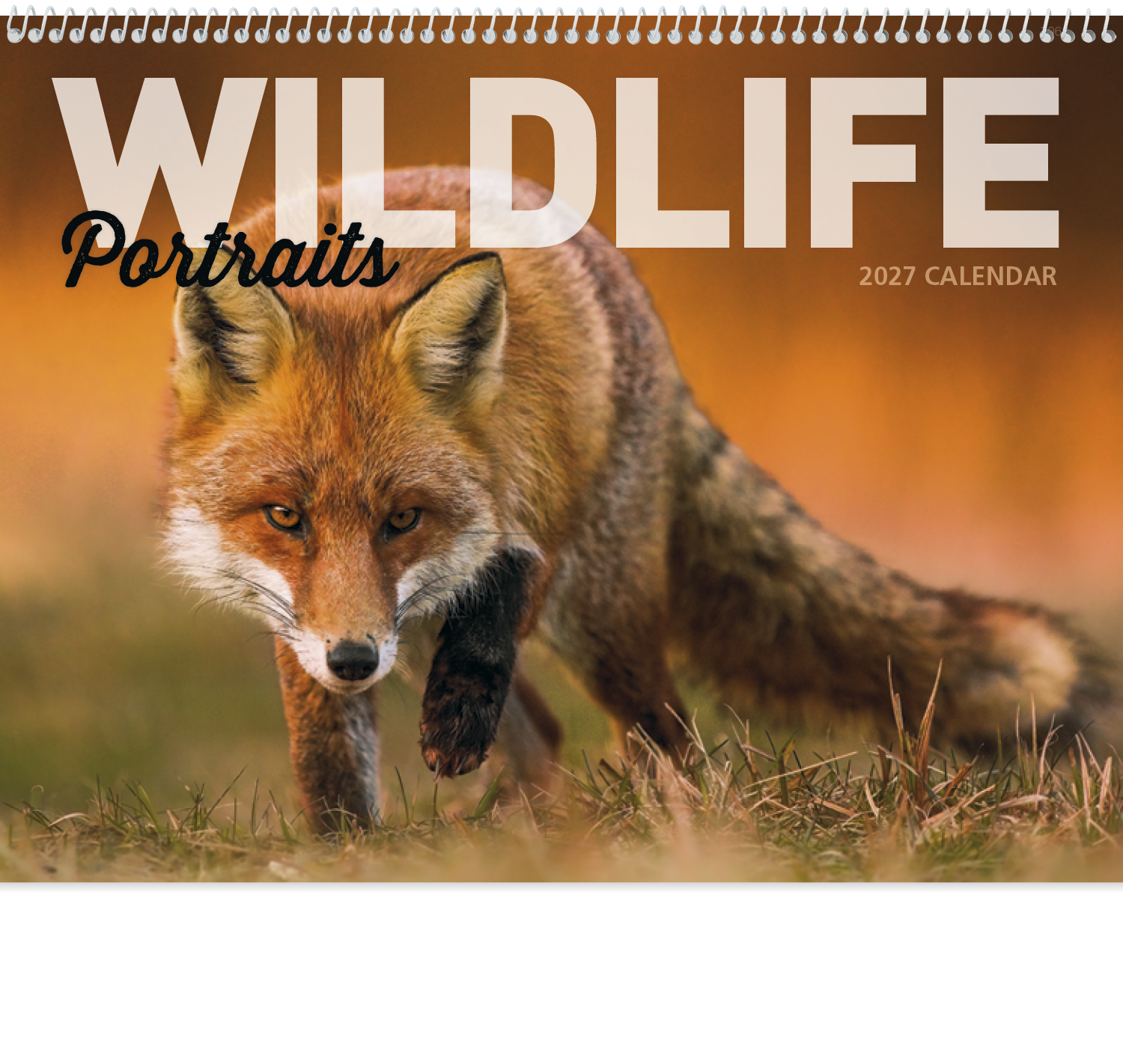 Good Value™ Wildlife Portraits - Spiral Calendar 48