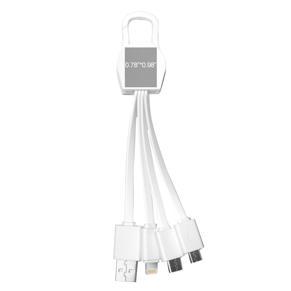 Leyden 4 in1 Charging Cables w/ USB tip 10