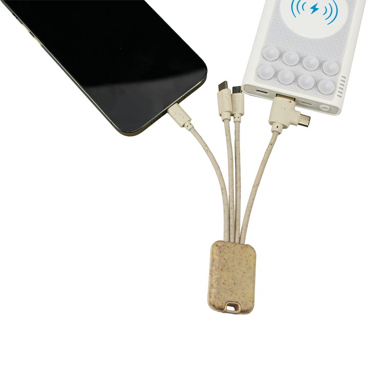Dual Type C Eco Friendly Charging Cable 5