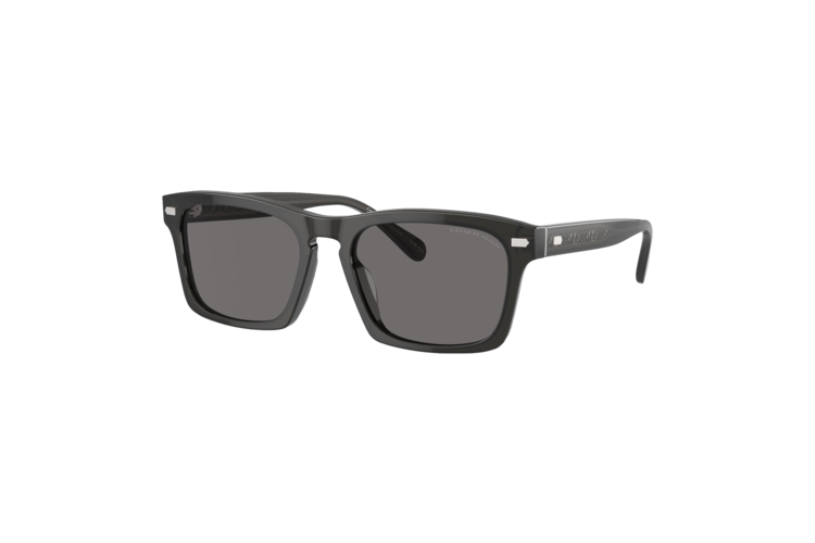 Coach Polarized Keyhole Square Sunglasses 1