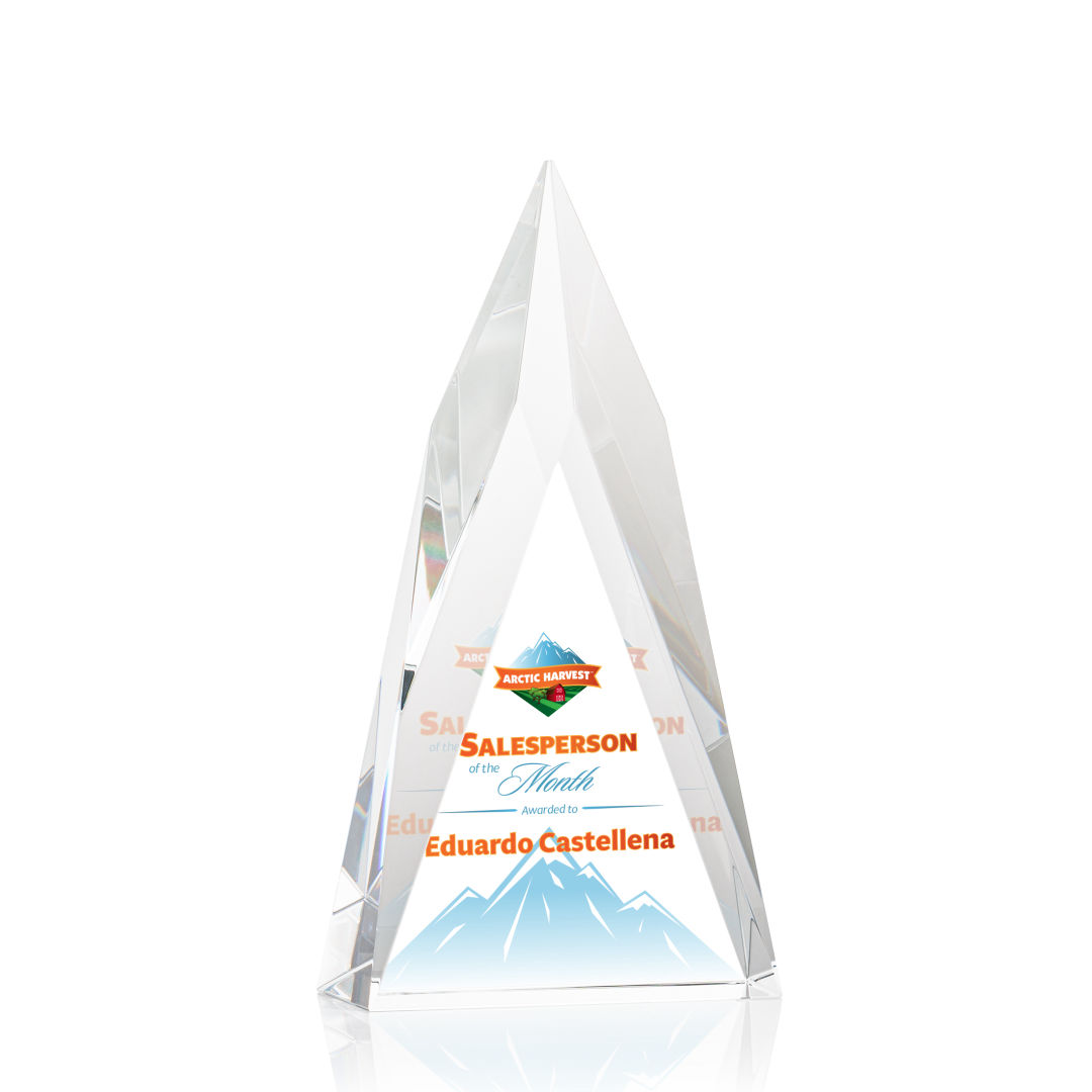 Salisbury VividPrint™ Award 5