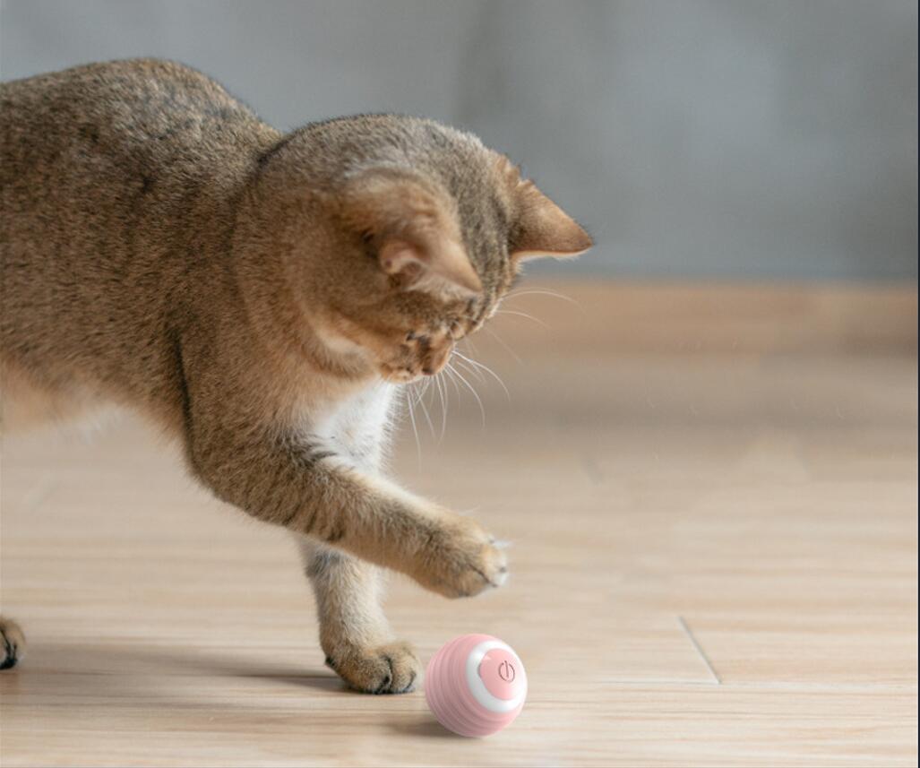 Interactive Cat Toys Ball With Led Lights 4