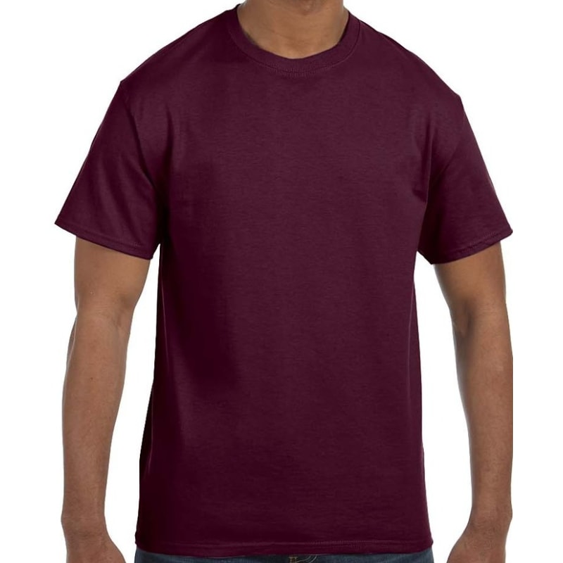 Hanes Men's Authentic-T T-Shirt 77