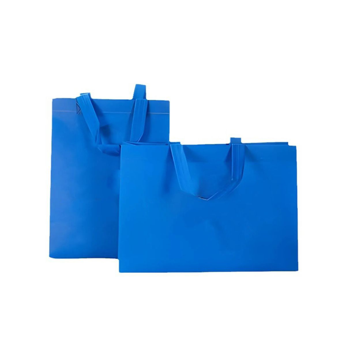 Reinforced Polypropylene Bag for Groceries 4