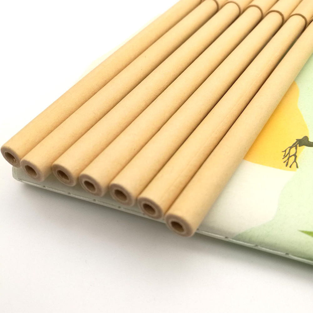 Environmentally friendly creative paper tube 1.0mm ballpoint pen 3