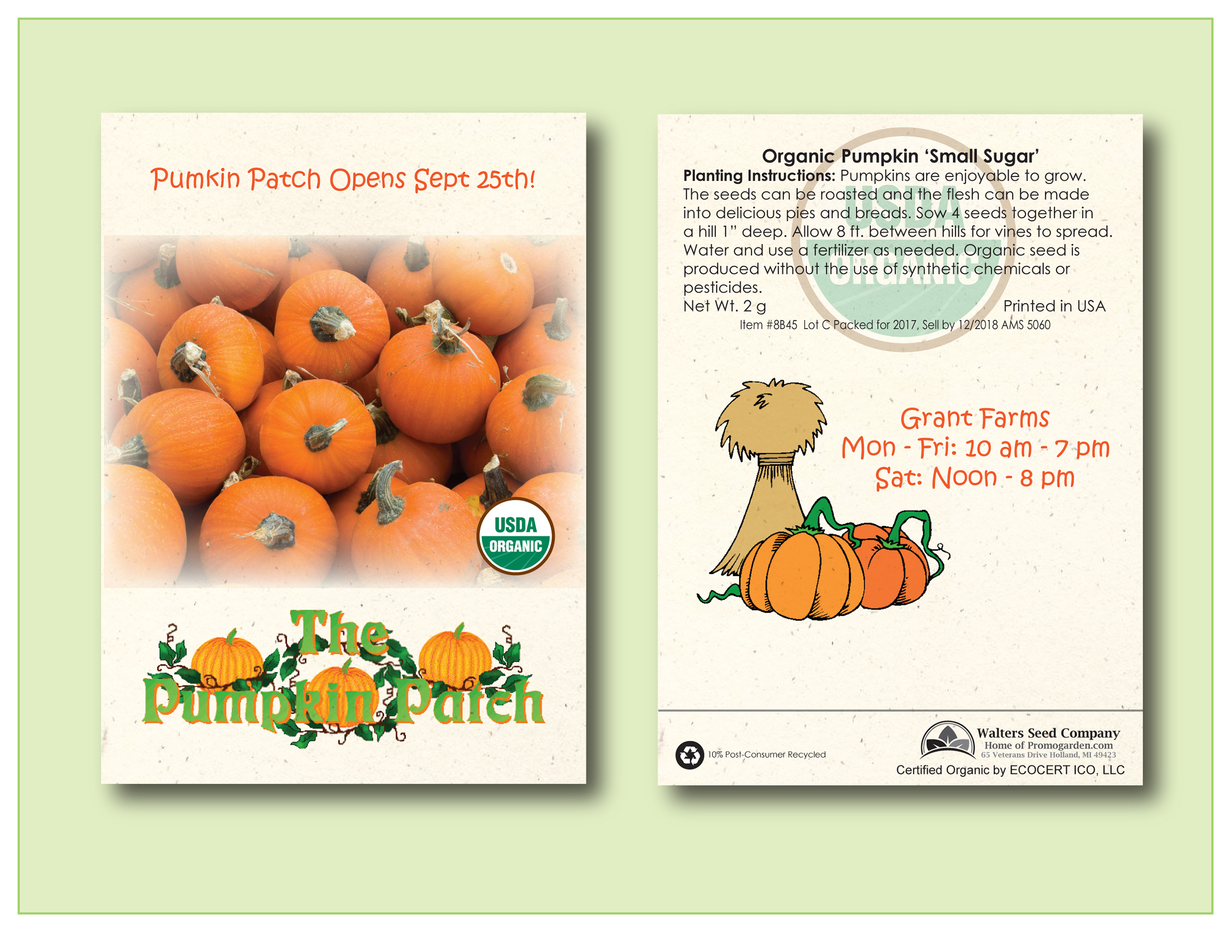 Organic Pumpkin Sugar Pie Seed Packet -Standard Size 3.25" x 4.5" 2