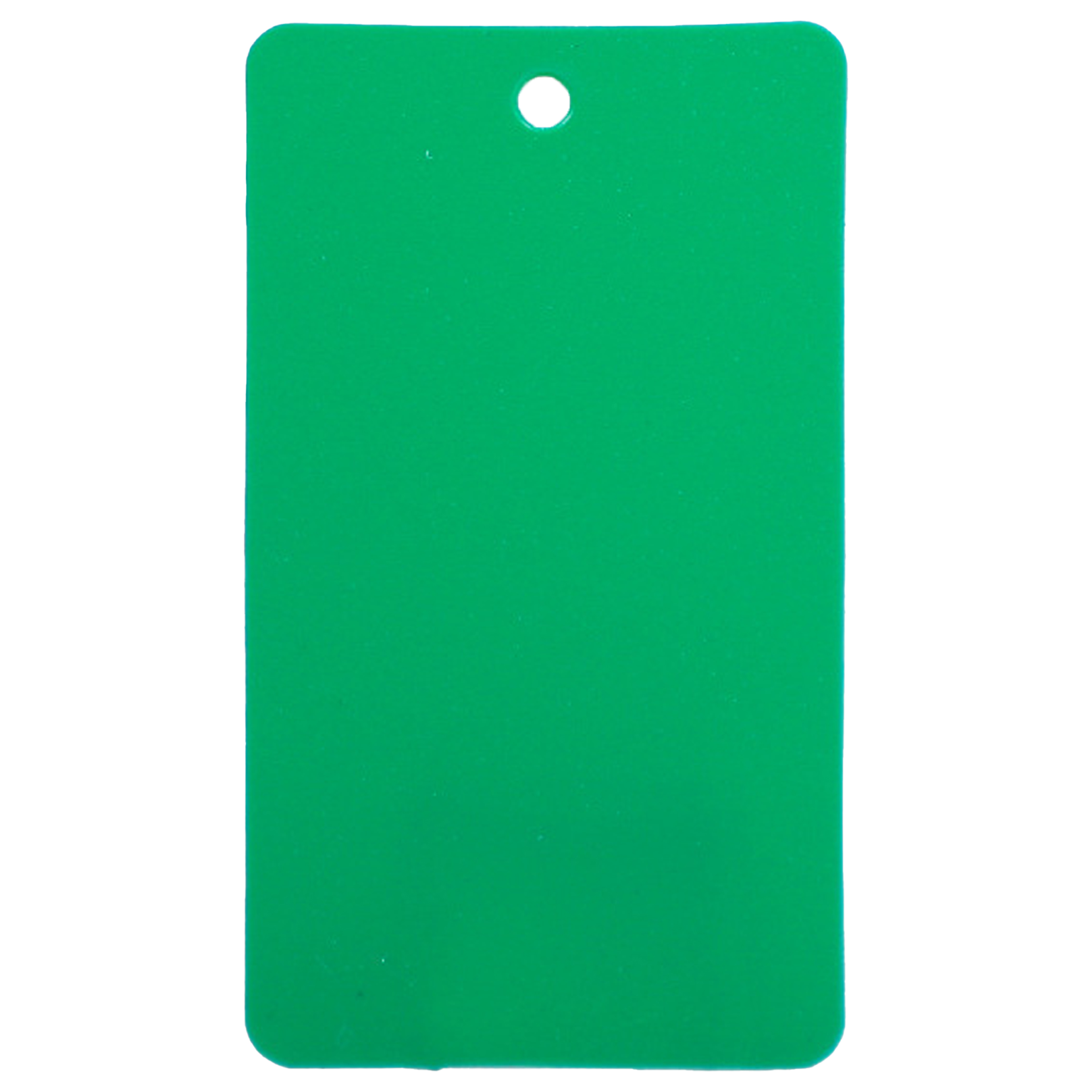 Plastic Waterproof Blank Tags 4