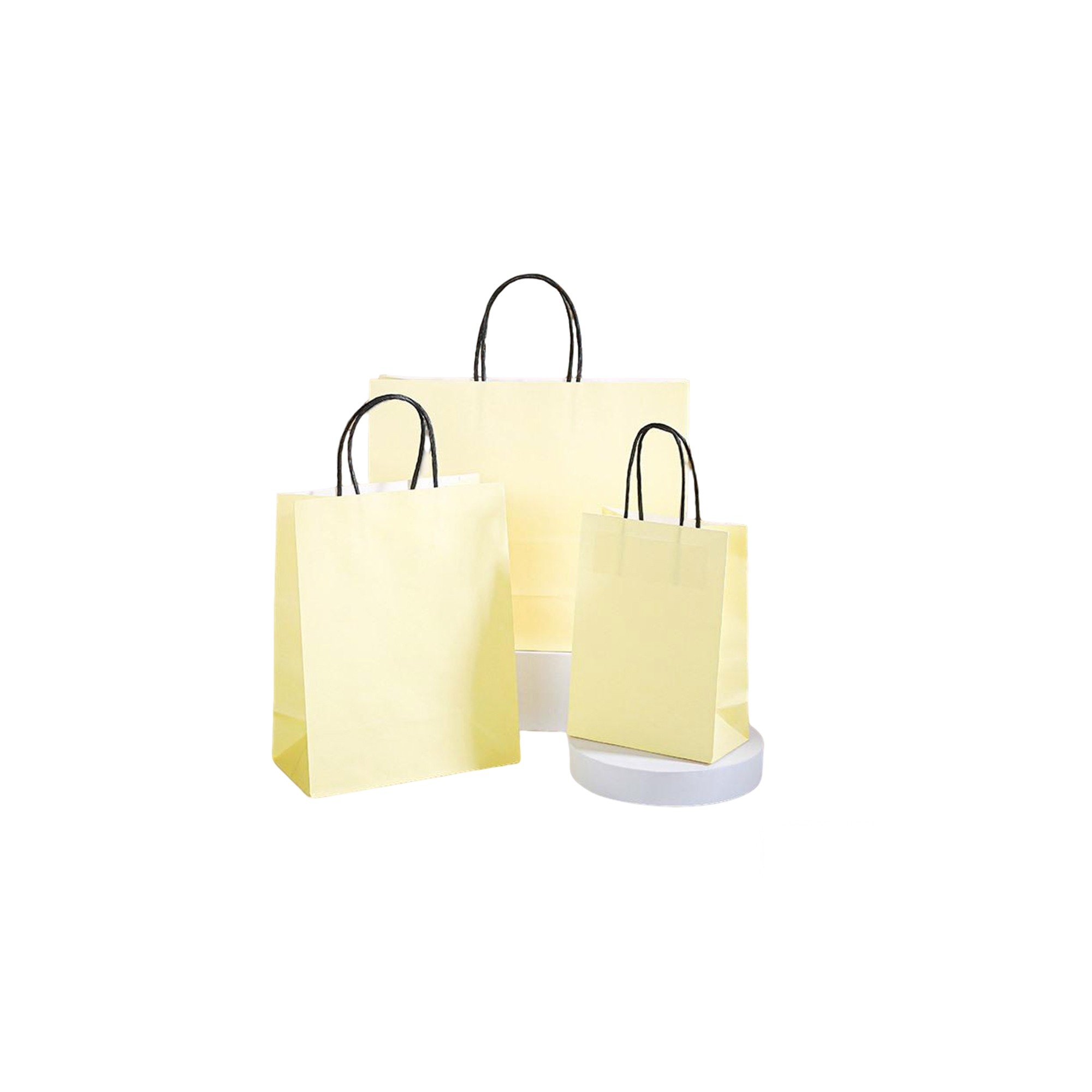 Ink Absorbent Paper Shopping Bag With Twisted Handle 6 x 3.15 x 8.25" 7