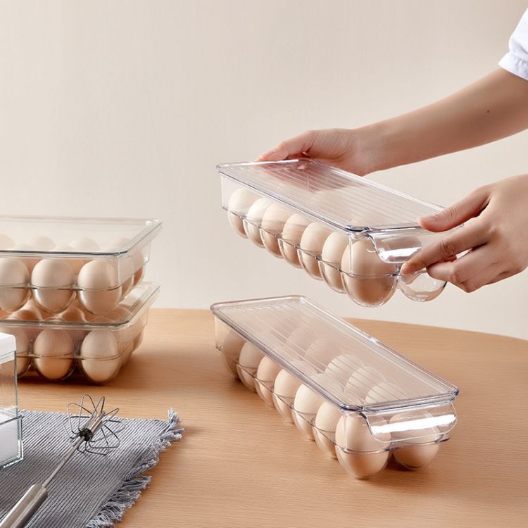 Clear Egg Carton 2