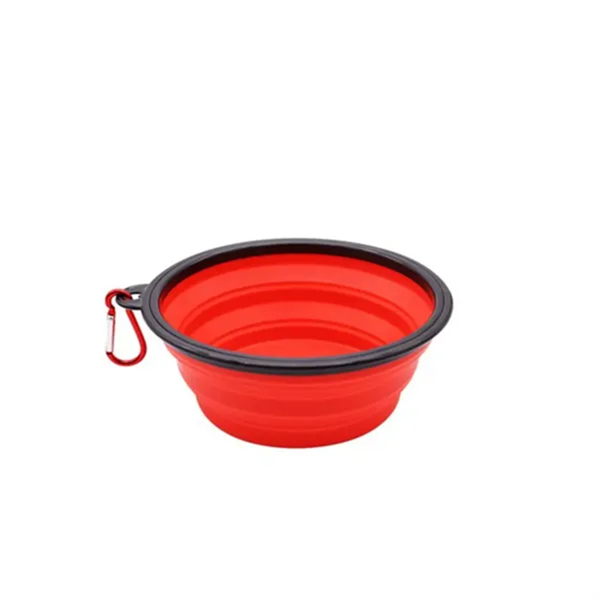 Collapsible Dog Bowl 1