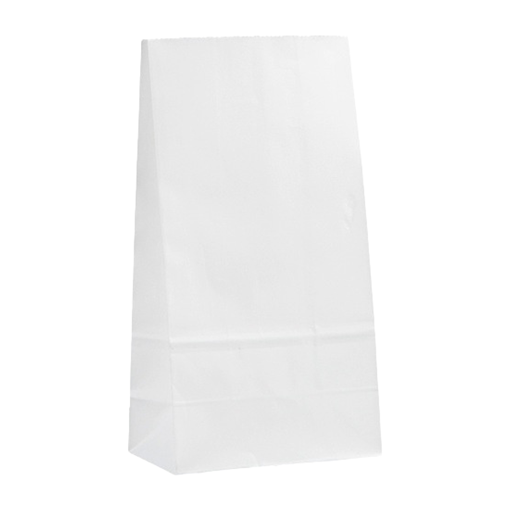 Grocery Shopping Paper Bag 8