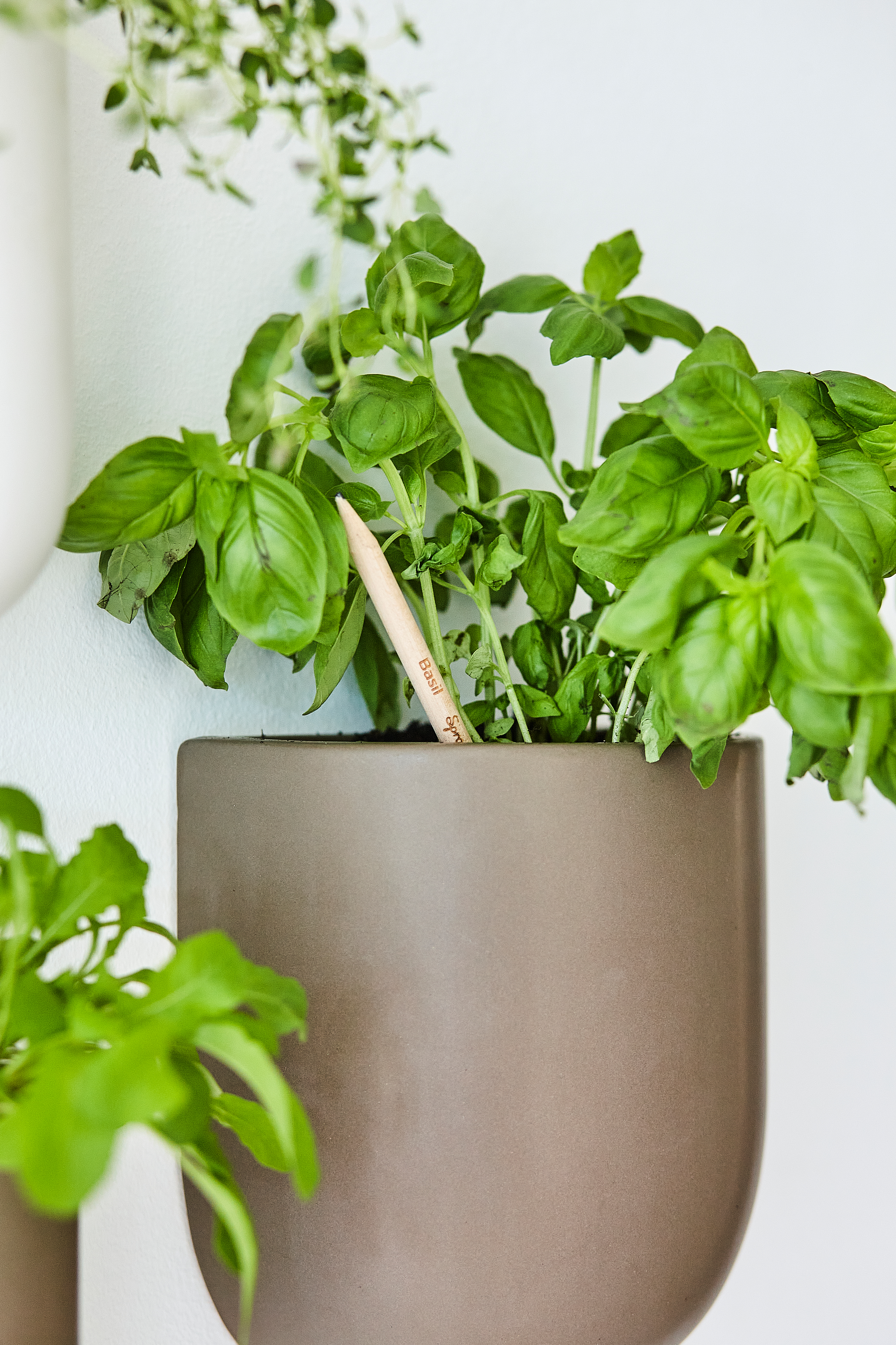 SproutWorld™ Pencil 23