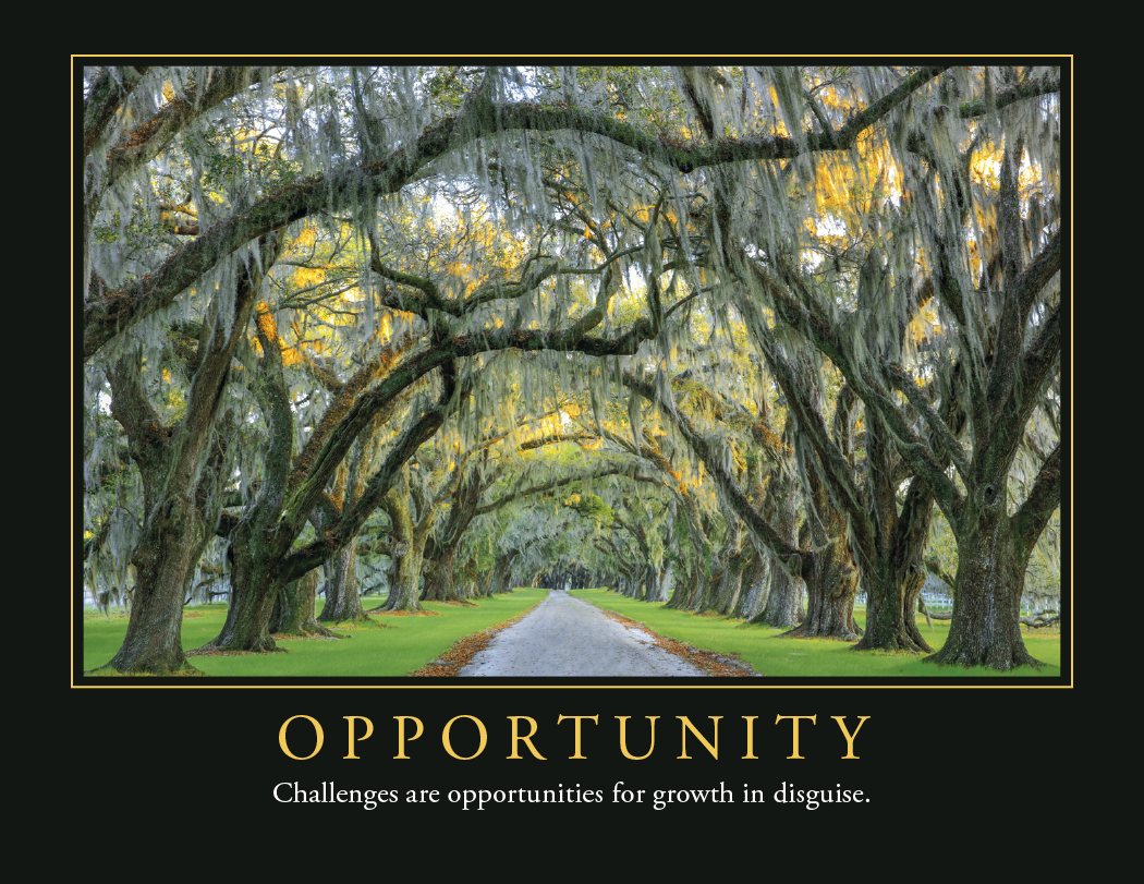 Triumph® Calendars Motivations Calendar 31