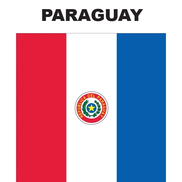 Mini Banner - Paraguay 2