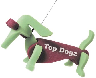Weiner Dog on a leash 4