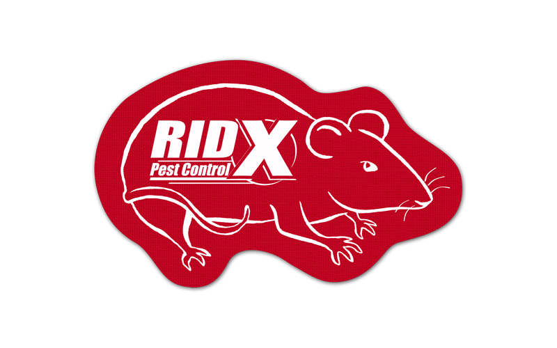 Rat/Mouse Rubber Jar Opener 53