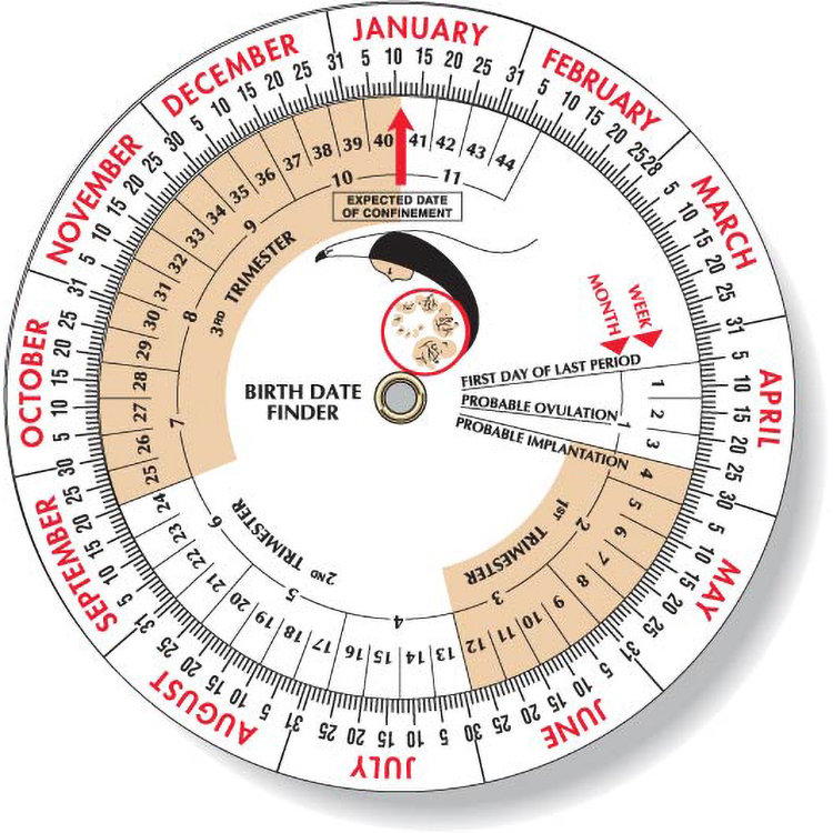 Pregnancy Birth Date Finder Wheel Calculator 4.25" dia, Full Colour 1