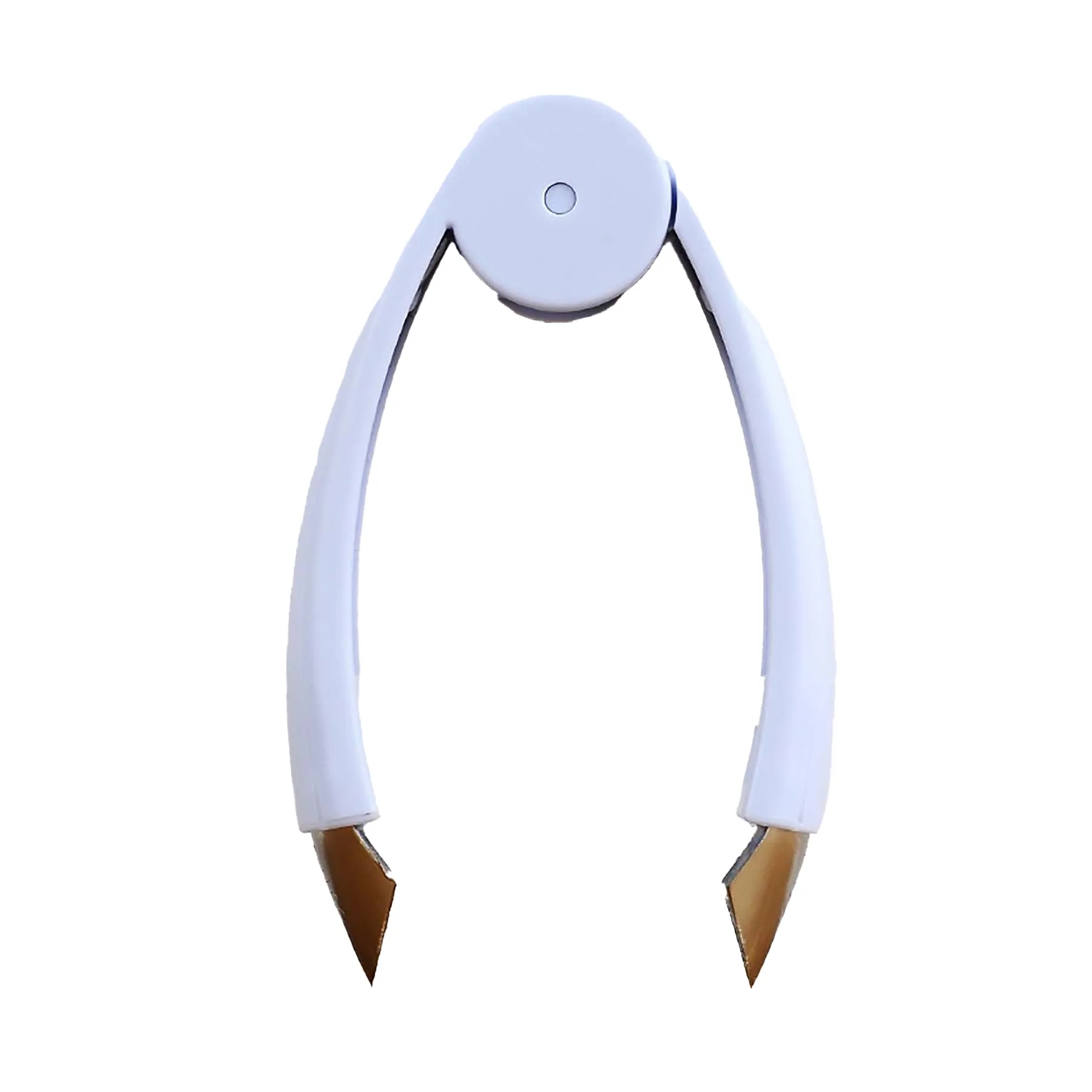 Stainless Steel PineApples Eye Remover 3