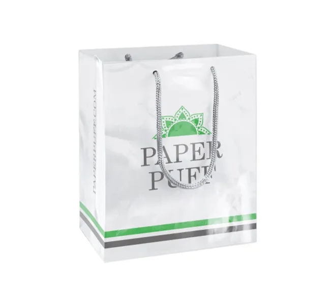 Printed Gloss Paper Bags (170 GSM Art Paper) 4