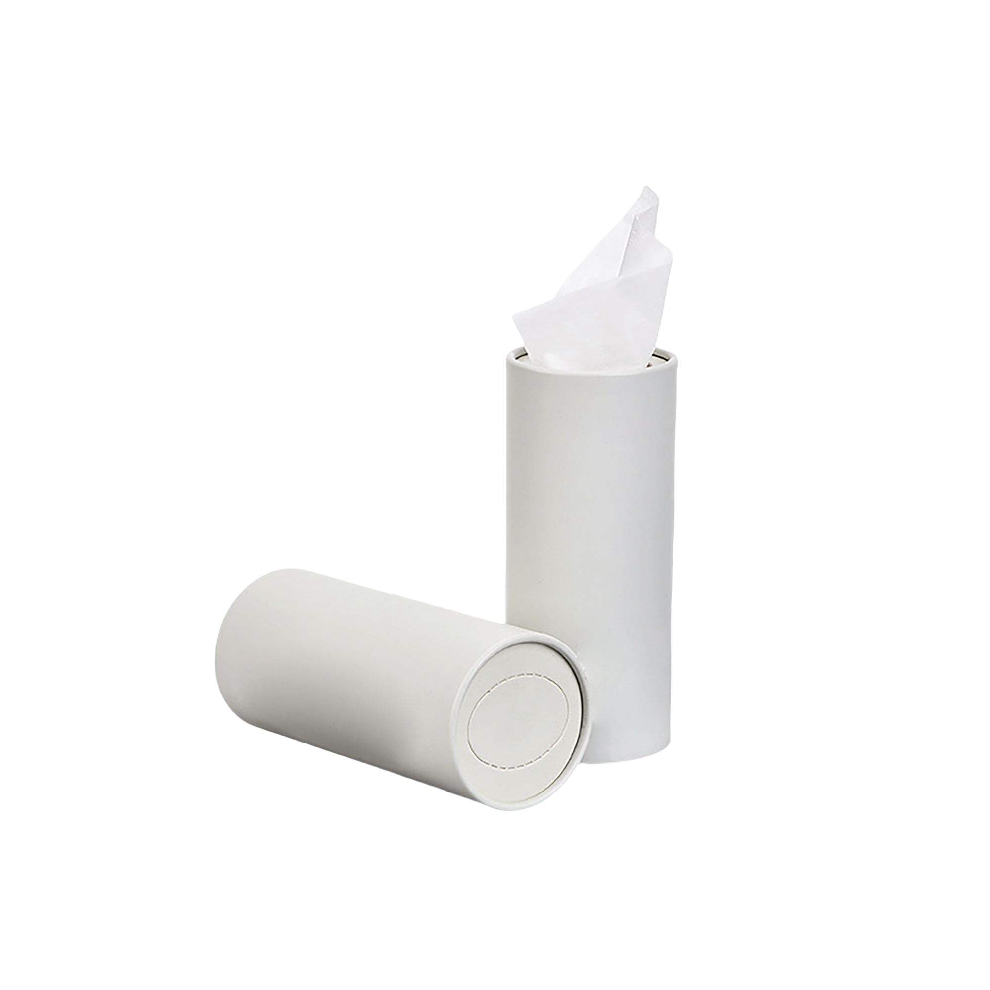 Travel Car Tissue Tube Container 4