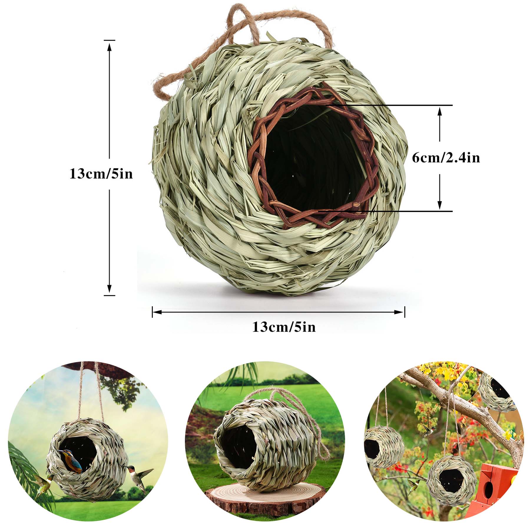 Hummingbird Nest