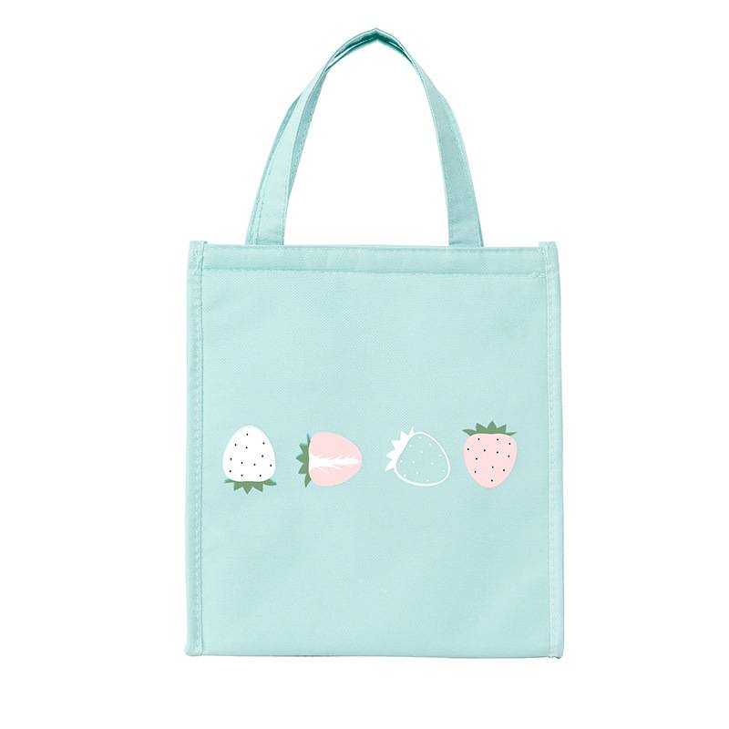 Oxford Insulated Lunch Bag Cooler 2