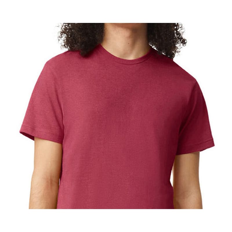 American Apparel Unisex CVC T-Shirt 1