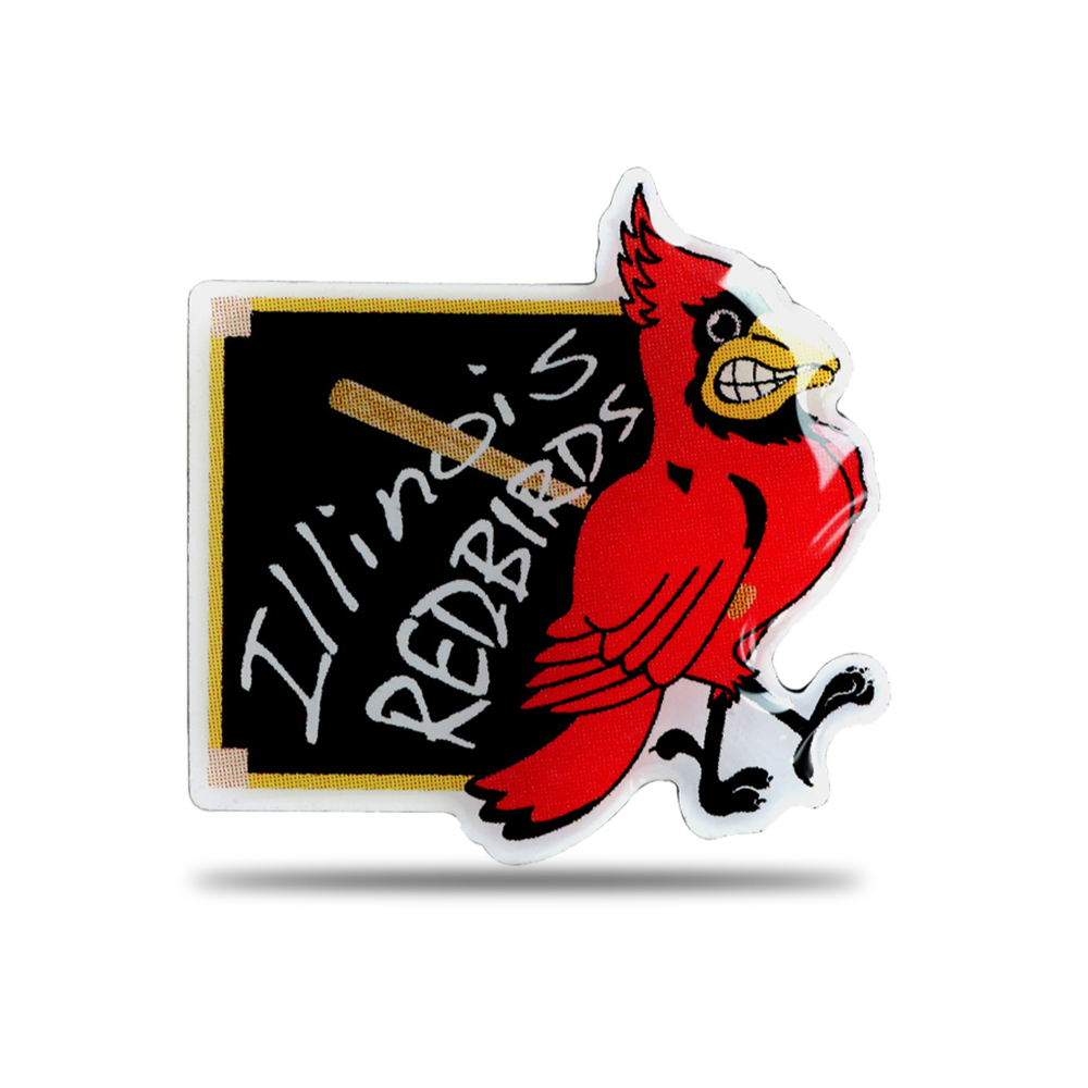 Custom Shaped Printed Pins