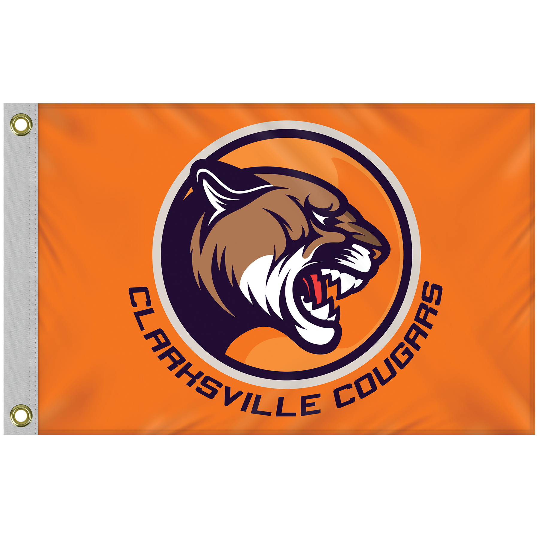 Deluxe Kit with 2' x 3' Flag and Silver Bracket 8