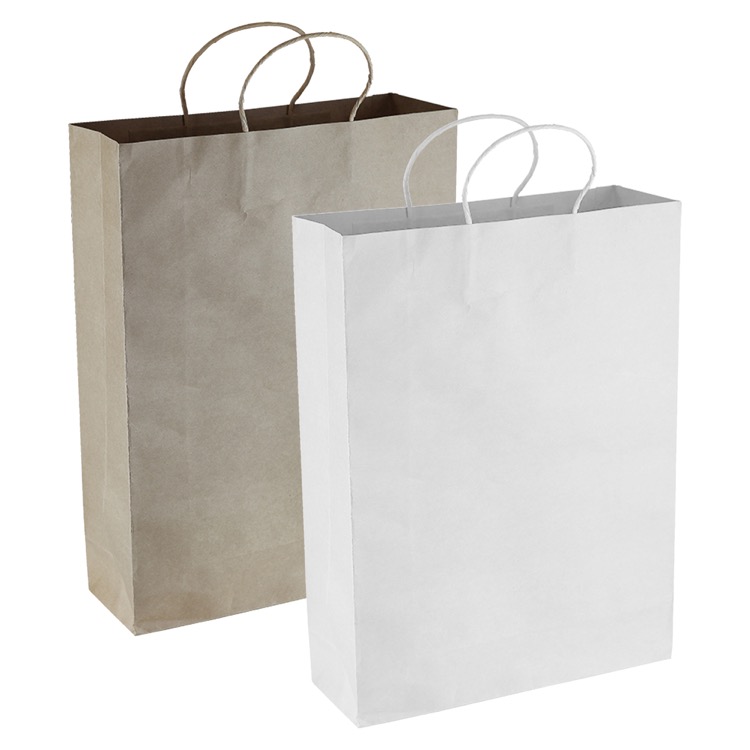 Paper Kraft Shopping Bag 4