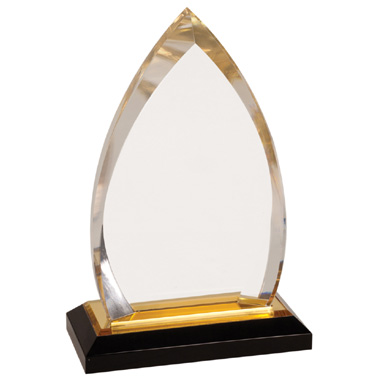 7 inch Oval Acrylic Award with Gold Accent 2