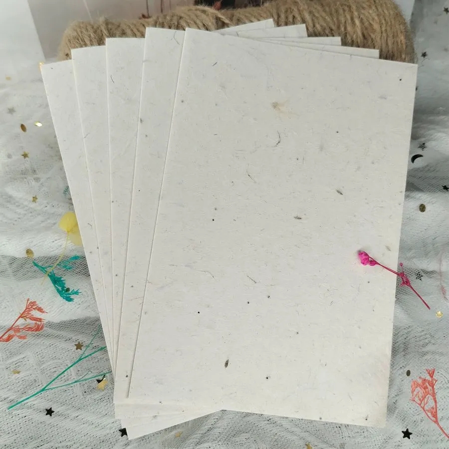 Environmentally Friendly Seed Notecards 3