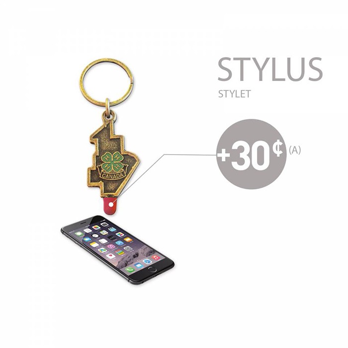 Custom Econo 2D Key Chain 5