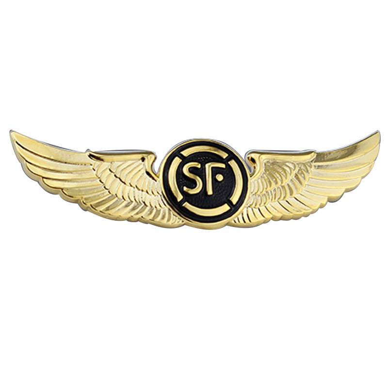 Customized metal brooch badges 5