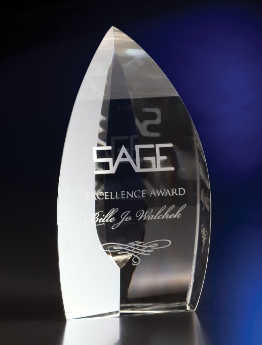 Artistic Expressions Crystal Nirvana Award 1
