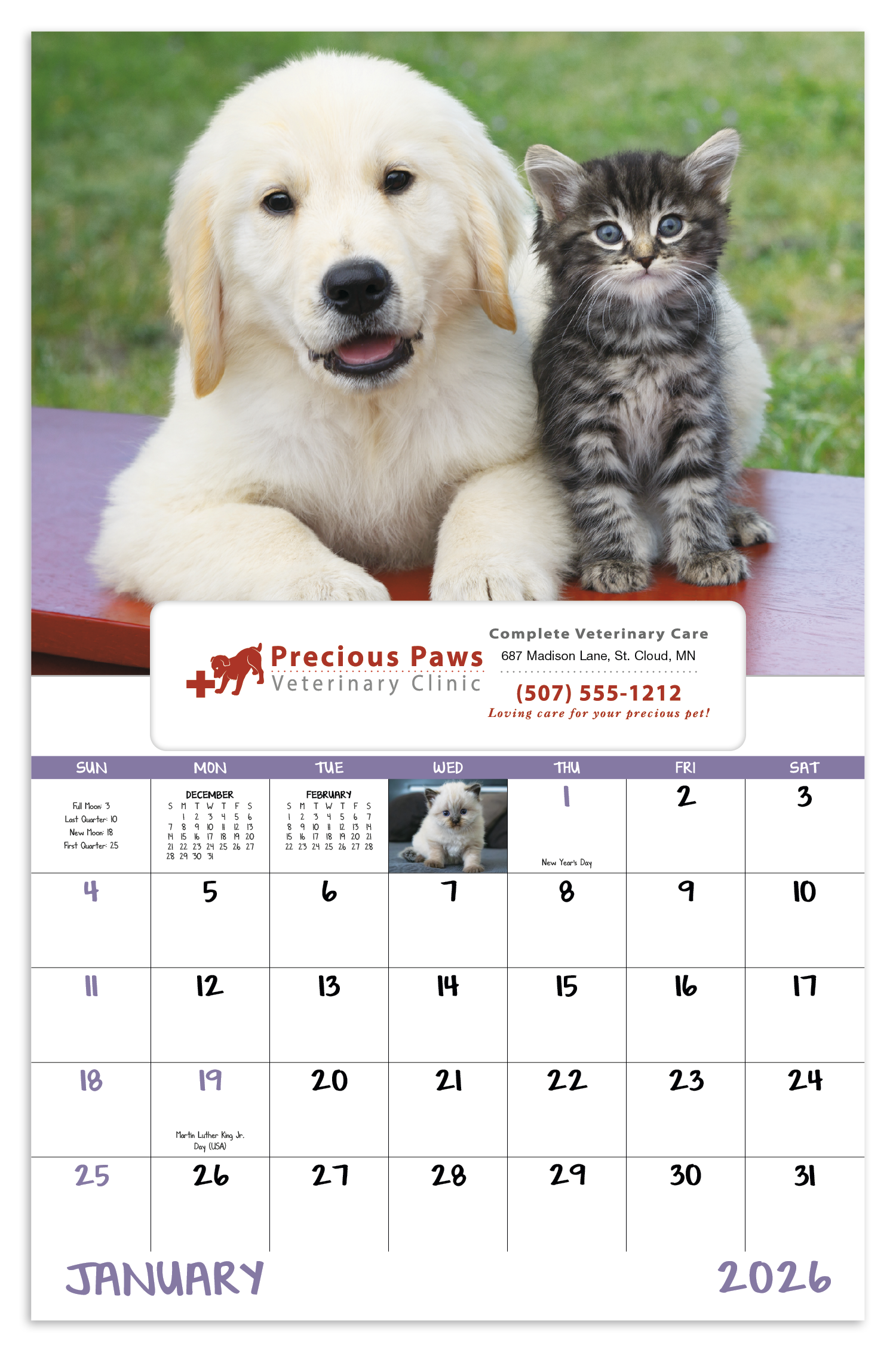 Good Value™ Puppies & Kittens - Window Calendar 12