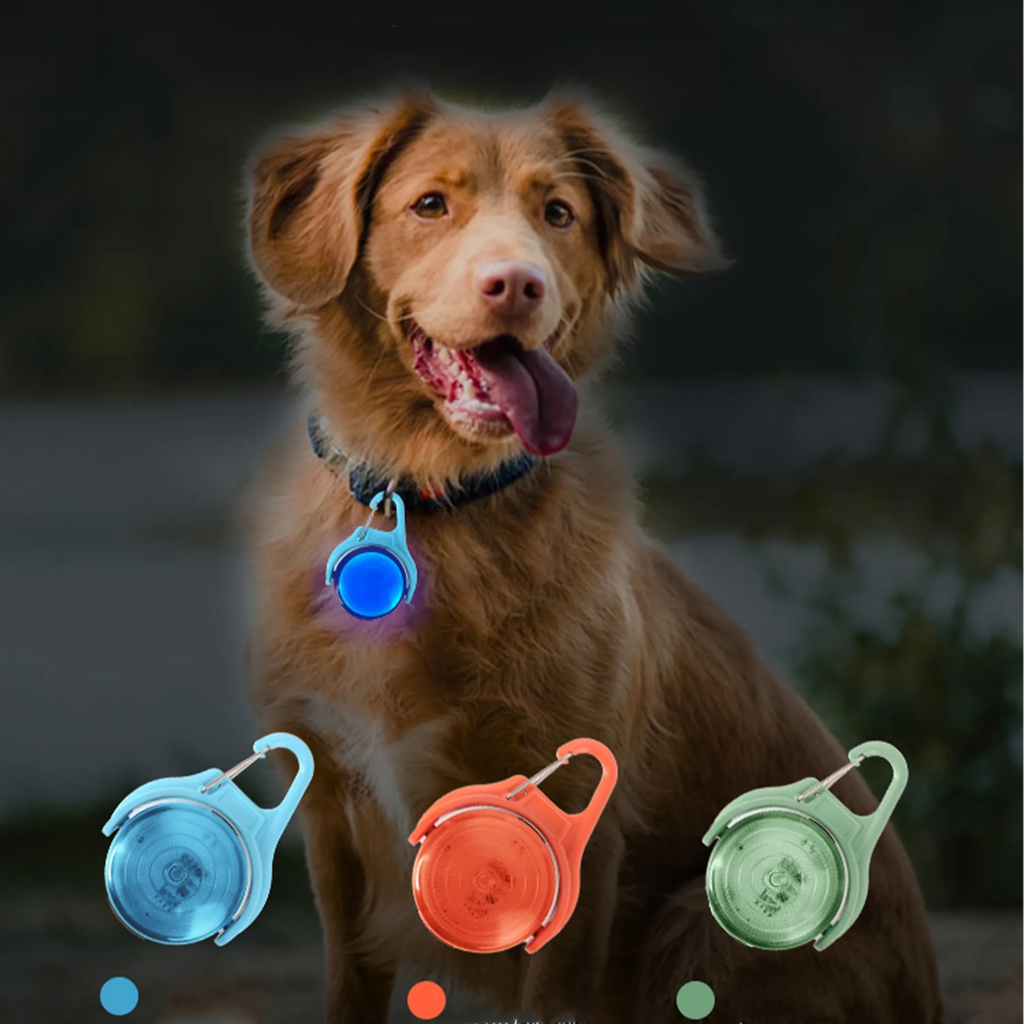 LED Dog Collar Light 3