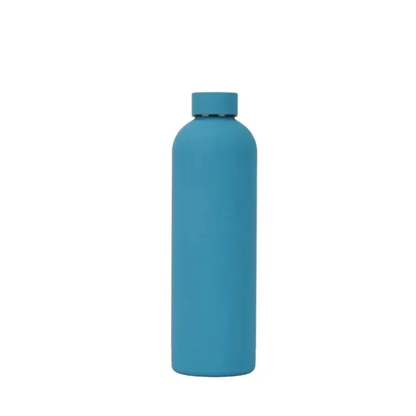 Stainless Steel Insulated Water Bottle with 17 oz Mouth 2