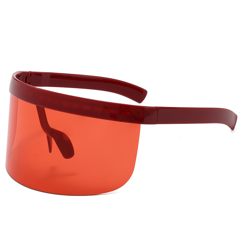 Face Shield Goggles 1