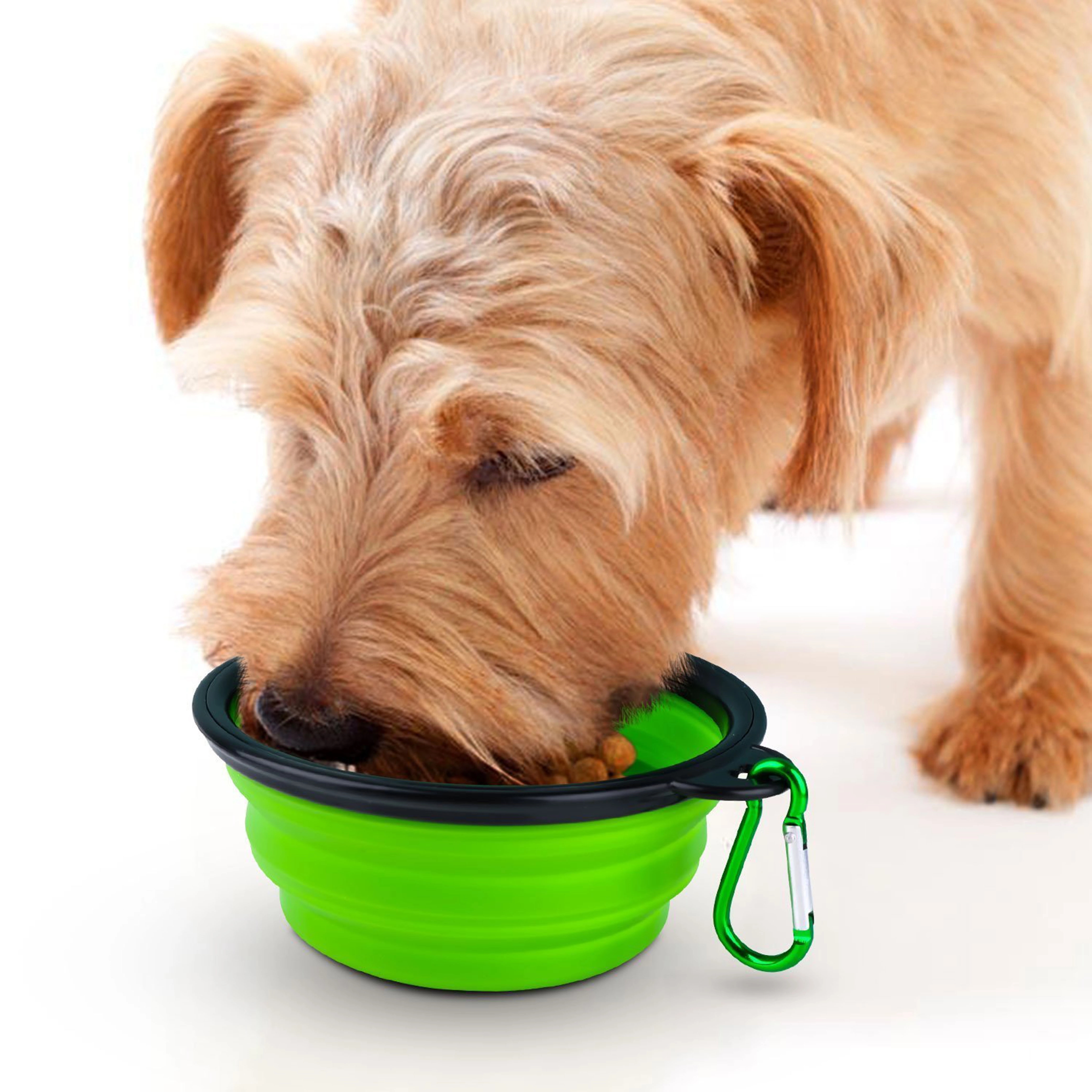Portable Pet Bow 13